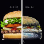 Nova Campanha do Burger King Mostra Whopper Em Decomposição