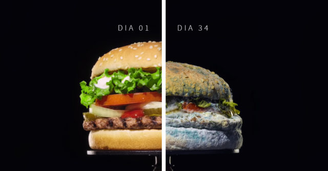 Nova Campanha do Burger King Mostra Whopper Em Decomposição